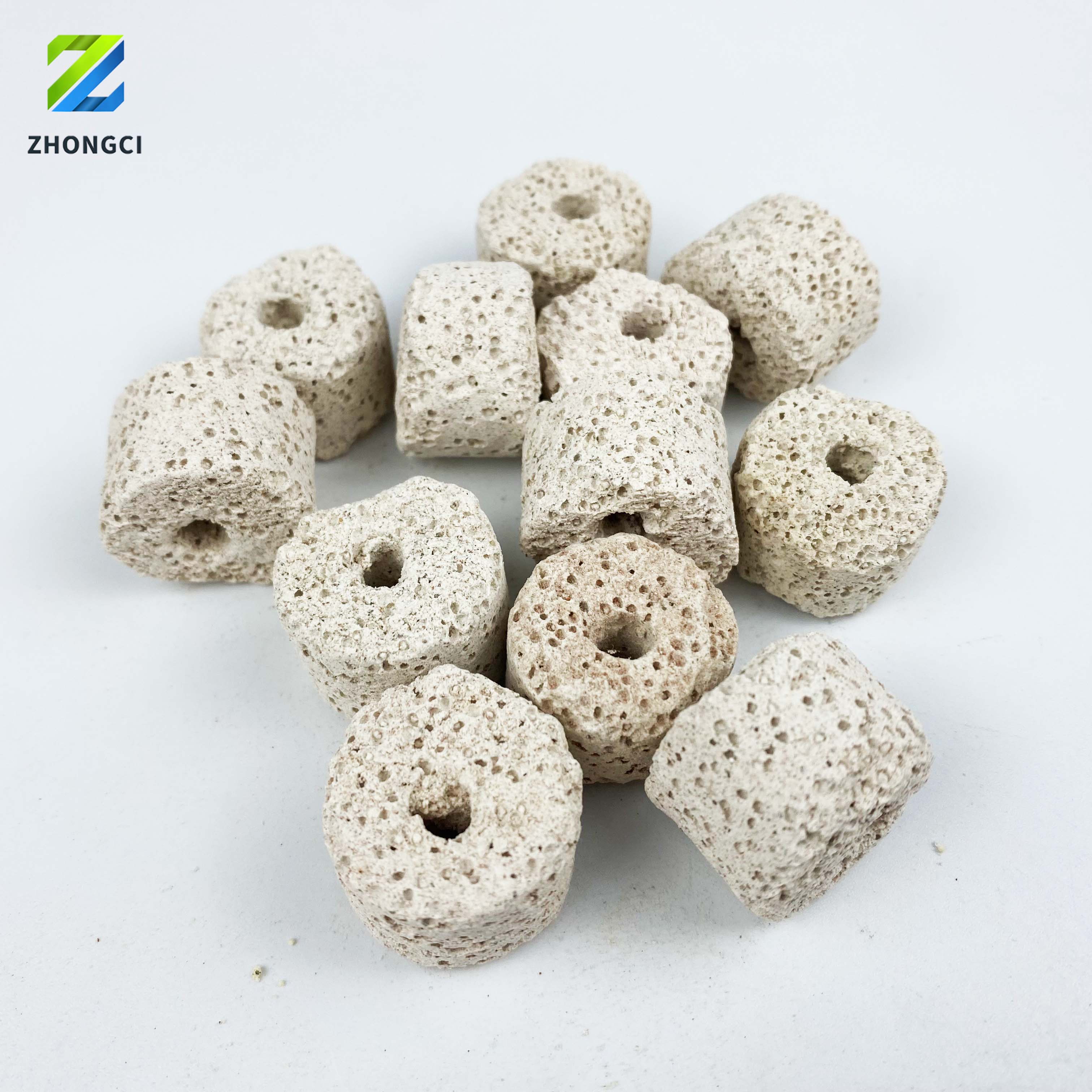 Coffee-colored bacterial ring