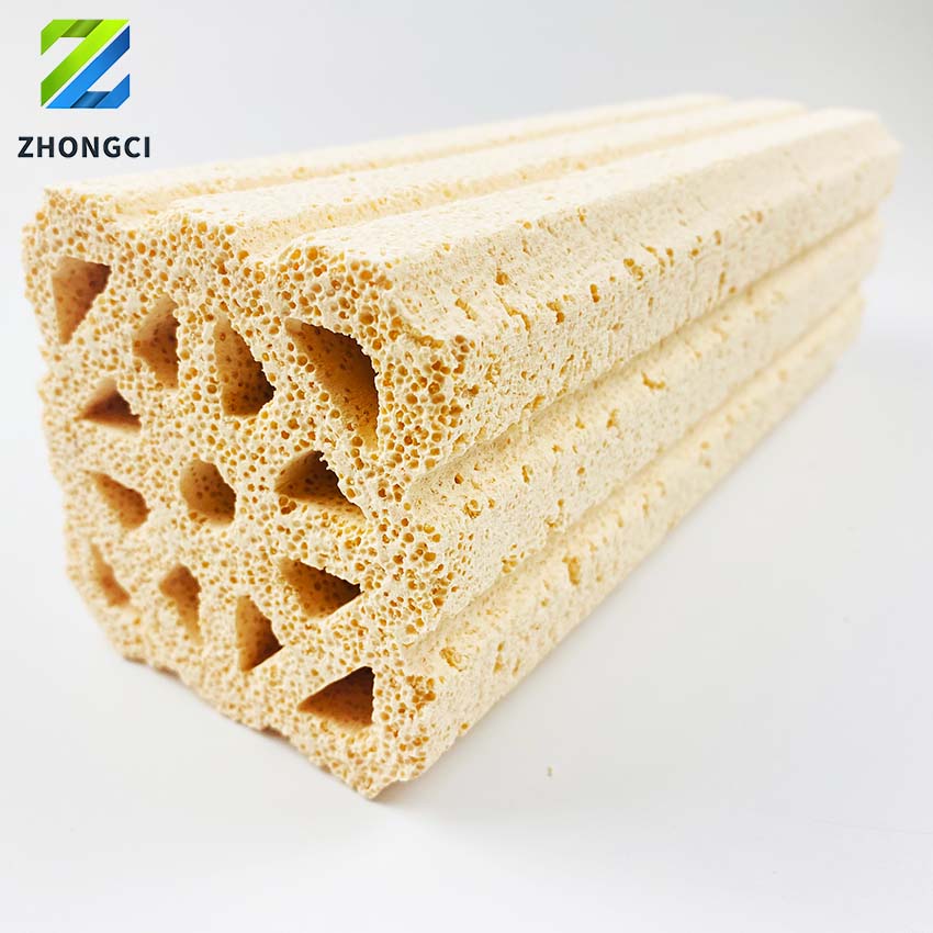 Extra-large bacterial house