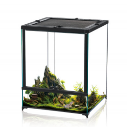Small Reptile Tank